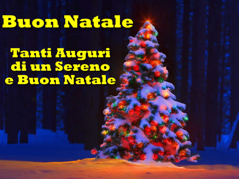 Immagini di Natale Albero Natalizio