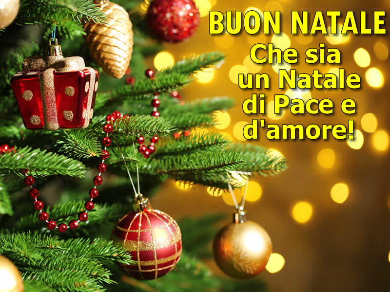 Natale Di Pace.Immagini Di Natale Auguri Di Buon Natale