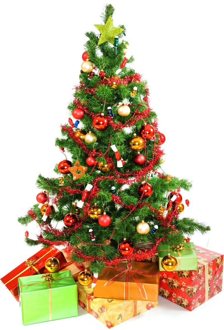 Albero Di Natale Addobbato Foto.Immagini Albero Di Natale Albero Di Natale Addobbato