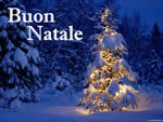 Albero di Natale