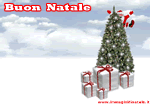 Foto Natale