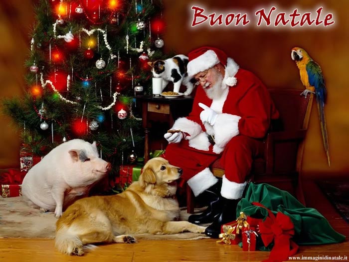 Foto Di Natale Con Animali.Immagini Babbo Natale Babbo Natale Con Animali