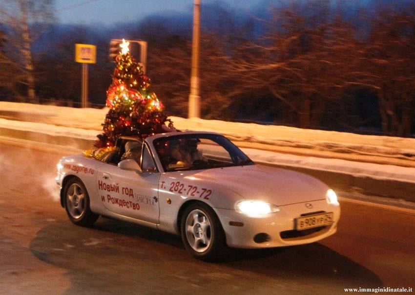 Immagini di Natale: Albero di Natale in macchina