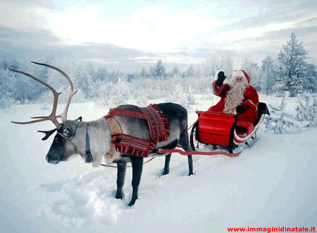 Immagini Babbo Natale: Babbo Natale con renna